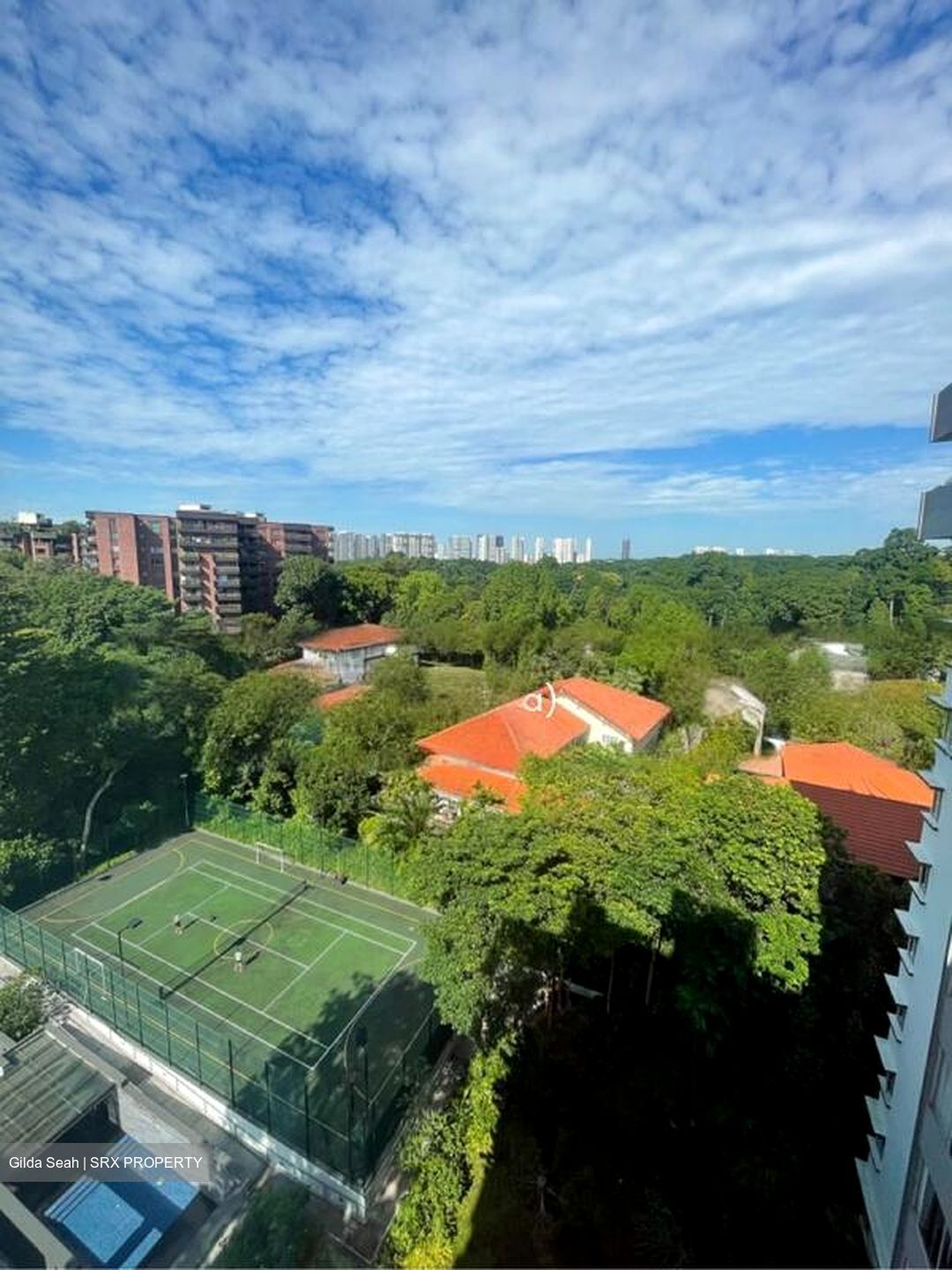 Nassim Regency (D10), Condominium #437313751